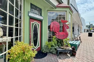 203 Jerry Dr, Hogansville, GA 30230 - Photo 47