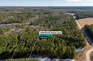 1440 Rock Point Cove, Tignall, GA 30668 - Photo 1