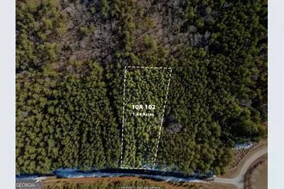 1440 Rock Point Cove, Tignall, GA 30668 - Photo 3