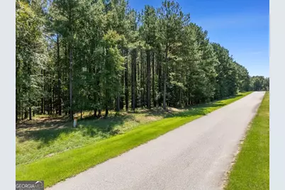 1250 Striper Cove, Tignall, GA 30668 - Photo 5