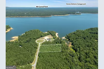 1250 Striper Cove, Tignall, GA 30668 - Photo 3