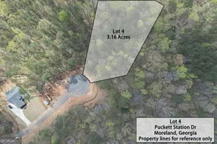 Lot 4 Puckett Station N St, Moreland, GA 30259 - Photo 1