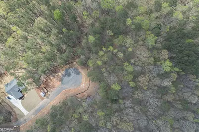 Lot 4 Puckett Station No Street, Moreland, GA 30259 - Photo 3