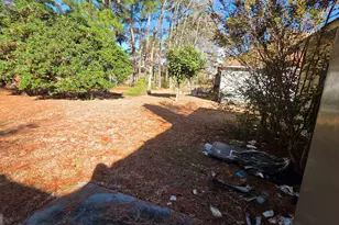 29 Bristlecone Dr, Savannah, GA 31419 - Photo 13