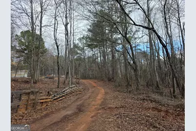 1684 Mandeville Road, Bremen, GA 30110 - Photo 3