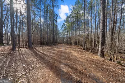 125 Lowe Road NW, Milledgeville, GA 31061 - Photo 55