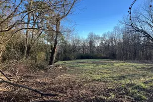 4638 Hwy 63, Carnesville, GA 30521 - Photo 43