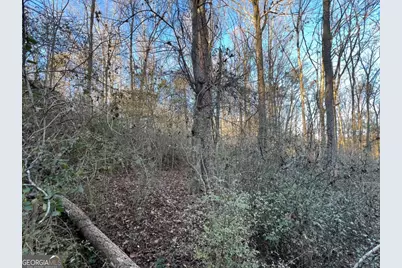 4638 Highway 63, Carnesville, GA 30521 - Photo 45