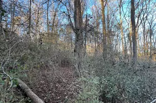 4638 Hwy 63, Carnesville, GA 30521 - Photo 45