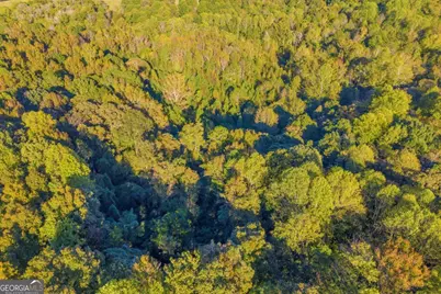 4638 Highway 63, Carnesville, GA 30521 - Photo 15