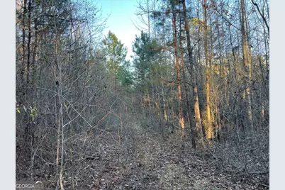 4638 Highway 63, Carnesville, GA 30521 - Photo 53