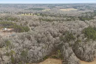 1501 Williamson Zebulon Rd, Williamson, GA 30292 - Photo 39