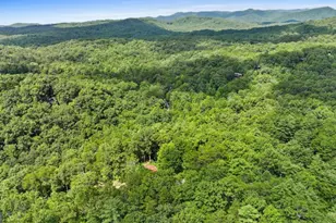 120 Community Hill Dr, Blue Ridge, GA 30513 - Photo 57