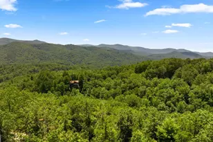 120 Community Hill Dr, Blue Ridge, GA 30513 - Photo 27