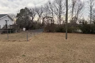 141 Evergreen Church Rd, Cobbtown, GA 30420 - Photo 27