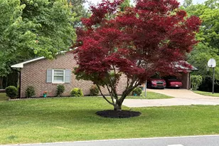 344 Holly Dr, Gainesville, GA 30501 - Photo 73
