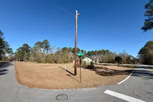 3231 Pear Ave, Patterson, GA 31557 - Photo 43