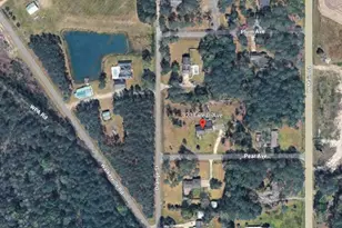 3231 Pear Ave, Patterson, GA 31557 - Photo 29