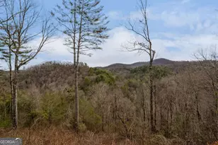 197 Cashes Valley Overlook, Cherrylog, GA 30522 - Photo 61