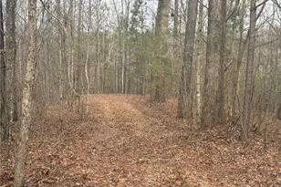 01 Swan Bridge Rd, Talking Rock, GA 30175 - Photo 1