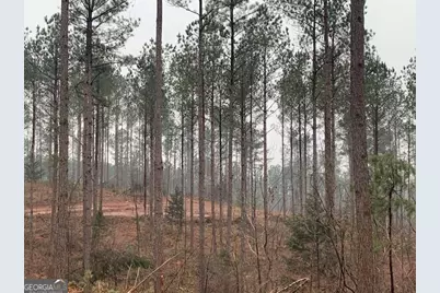 2660 Parham Town Road, Bowman, GA 30624 - Photo 11