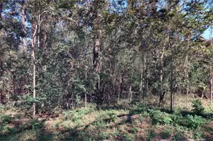 156 Darling St, Savannah, GA 31408 - Photo 1