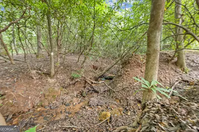 3103 Highway 197, Clarkesville, GA 30523 - Photo 27