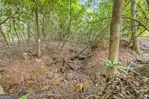 3103 Hwy 197, Clarkesville, GA 30523 - Photo 27