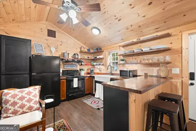 3103 Highway 197, Clarkesville, GA 30523 - Photo 9