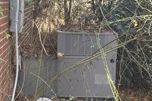 139 Bryant Newkirk Rd, Rose Hill, NC 28458 - Photo 5