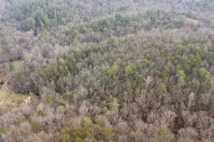 89 T S Jarrard Rd, Dahlonega, GA 30533 - Photo 47