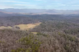 89 T S Jarrard Rd, Dahlonega, GA 30533 - Photo 45