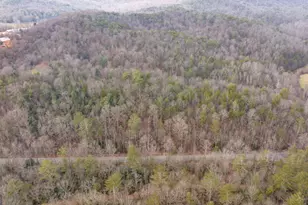 89 T S Jarrard Rd, Dahlonega, GA 30533 - Photo 41