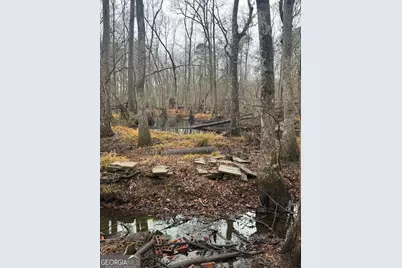 899 Foxboro Lane, Portal, GA 30450 - Photo 43