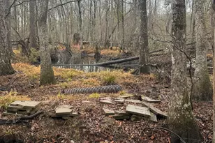 899 Foxboro Ln, Portal, GA 30450 - Photo 43