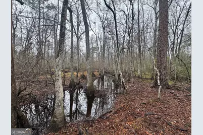 899 Foxboro Lane, Portal, GA 30450 - Photo 45