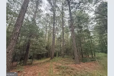 11 Owens Road, Maysville, GA 30558 - Photo 35