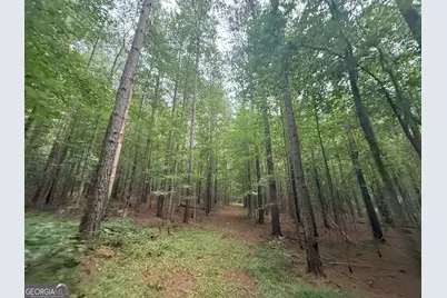 11 Owens Road, Maysville, GA 30558 - Photo 97