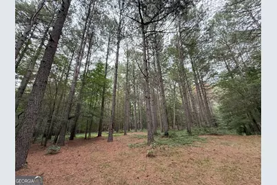 11 Owens Road, Maysville, GA 30558 - Photo 133