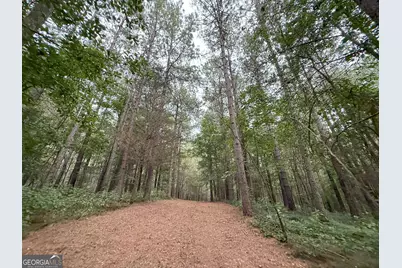 11 Owens Road, Maysville, GA 30558 - Photo 141