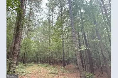 11 Owens Road, Maysville, GA 30558 - Photo 117