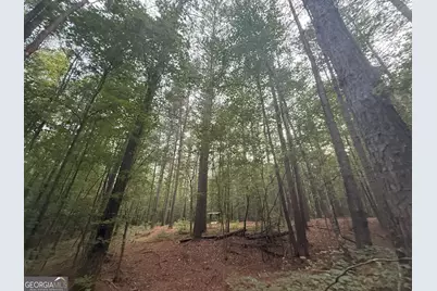 11 Owens Road, Maysville, GA 30558 - Photo 29