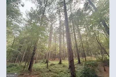 11 Owens Road, Maysville, GA 30558 - Photo 39