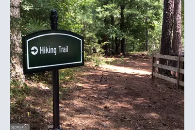 1060 Pinehurst Drive, Greensboro, GA 30642 - Photo 7