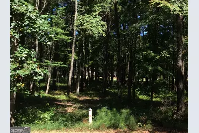 1060 Pinehurst Drive, Greensboro, GA 30642 - Photo 13