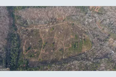 0 Warner Road, West Point, GA 31833 - Photo 9