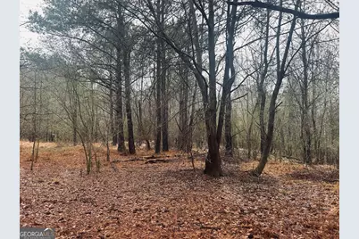 0 St. Marys Road SW #TRACT 1A, Crawfordville, GA 30631 - Photo 9