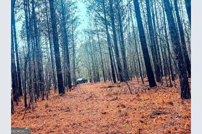 0 St. Marys Road SW #TRACT 1A, Crawfordville, GA 30631 - Photo 1