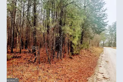 0 St. Marys Road SW #TRACT 1A, Crawfordville, GA 30631 - Photo 5