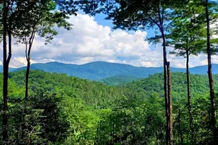 Lot 3 Gold Ridge Trail, Cherrylog, GA 30522 - Photo 1